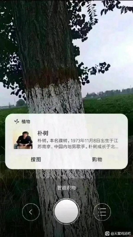 from 平壤卫视