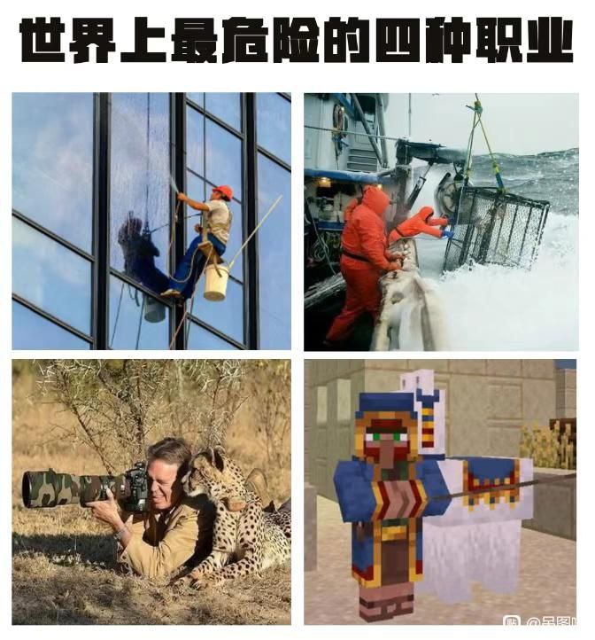 via 8号沙雕网友