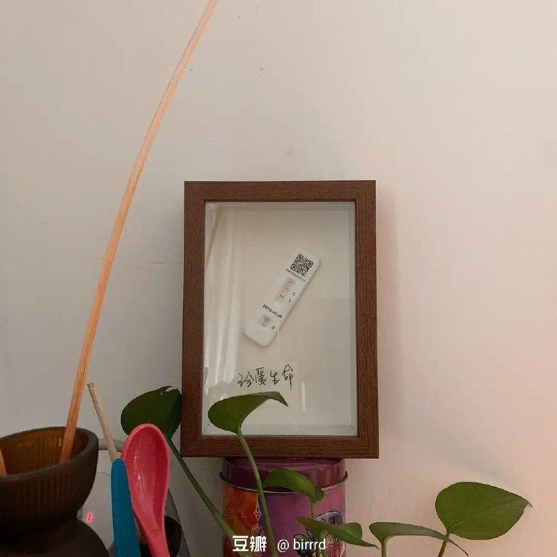 第一次🐑的试剂盒