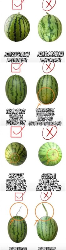 我记得所有的西瓜识别方式，到最后都是拎起来拍一拍，然后问老板，包甜不？ via MiaoMiao Hua
