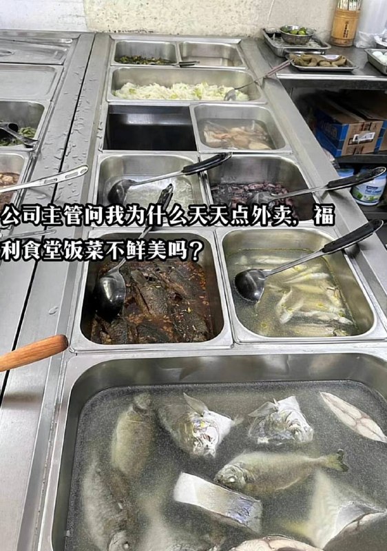 from 平壤卫视