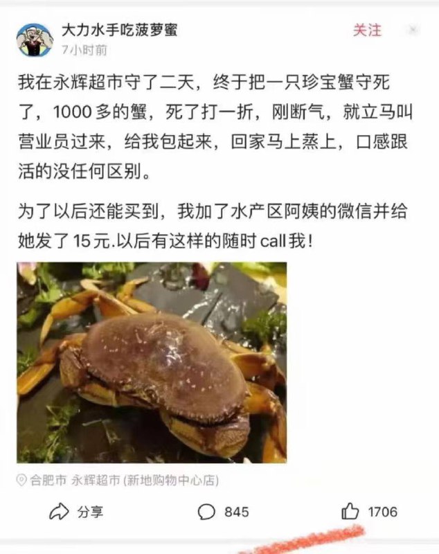 from 桔梗没有花  #精品
