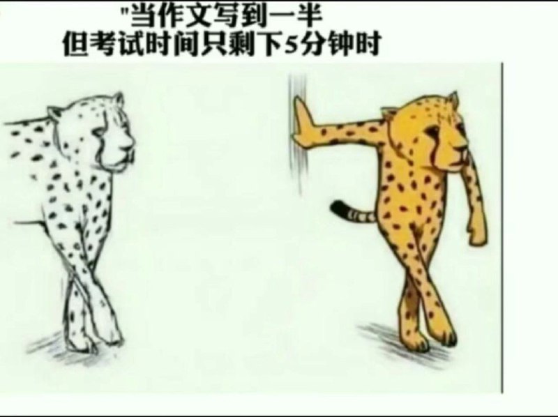 via 鸭累鸭累