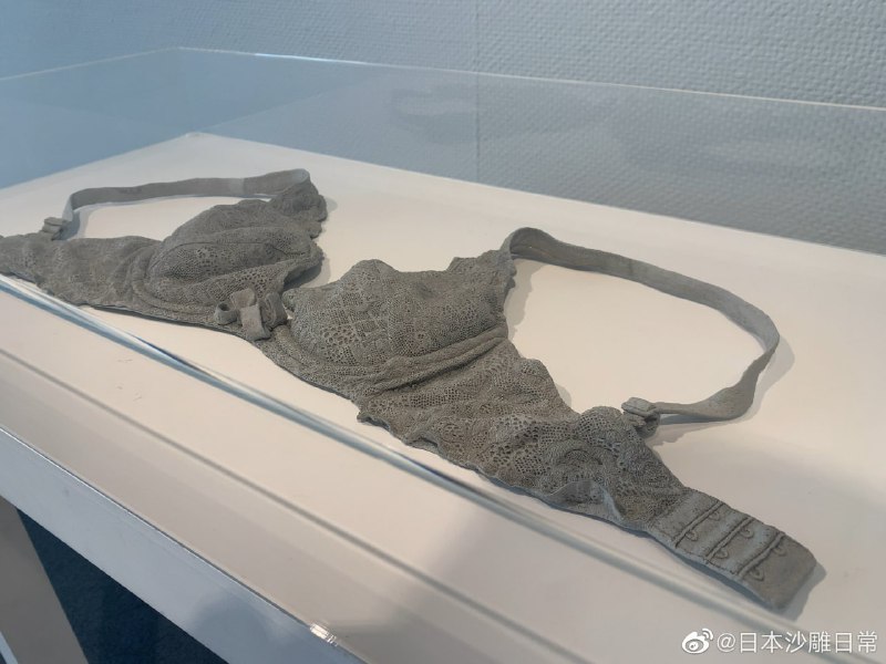日本艺术家山本優美的陶器作品，很多人根本就没注意到，以为只是个普通的胸罩而已日本艺术家山本優美的陶器作品，很多人根本就没注意到，以为只是个普通的胸罩而已