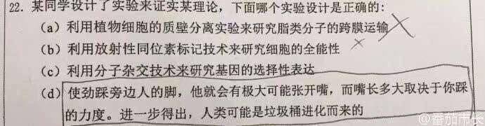 from 平壤卫视