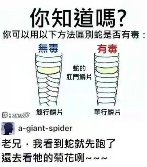 via 🥛 养蛇者说 如何被大蛇缠住 实在没办法 捅它菊花（我说的是用手）就松开了