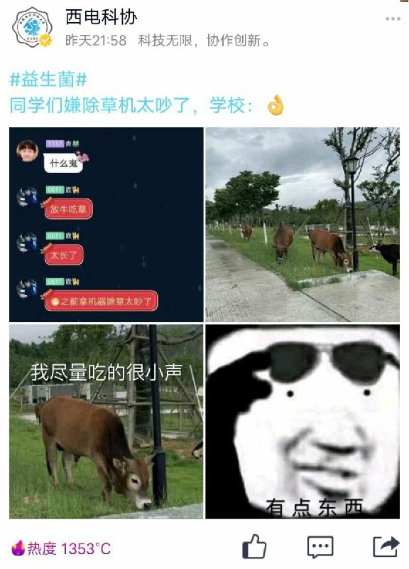 from 心惊报