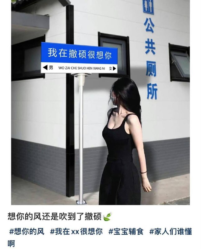 ？from 平壤卫视