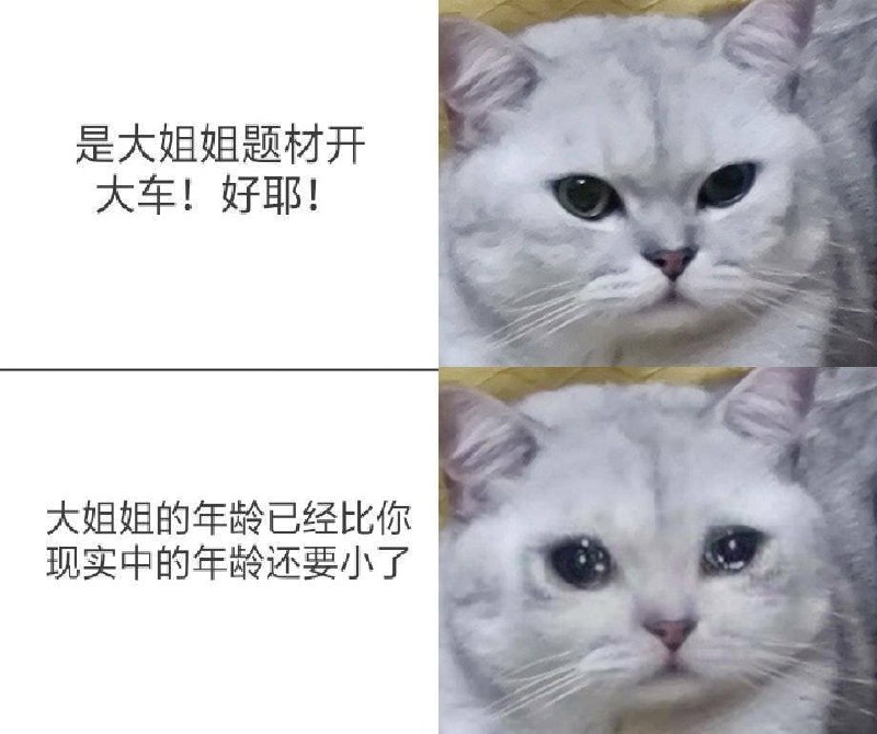 #NSFW #精品