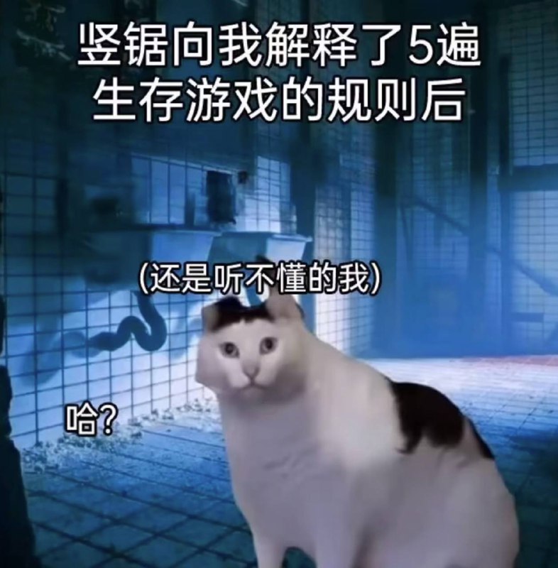 via 犯罪嫌疑人张某