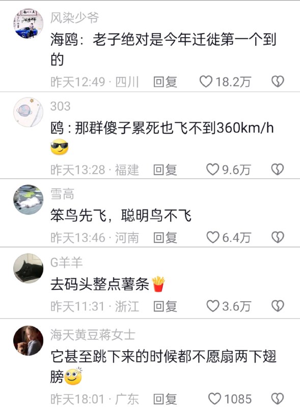 海鸥：还是高铁快啊！海鸥：还是高铁快啊！