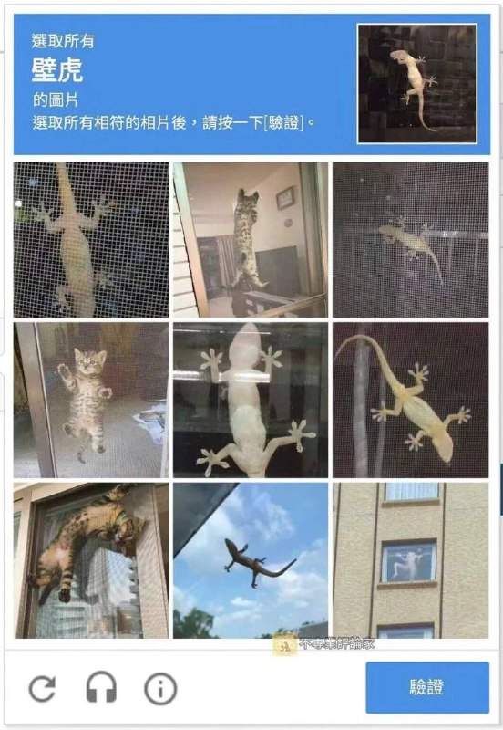 《关于这验证种类没有创作瓶颈这件事》via 炜鈺《关于这验证种类没有创作瓶颈这件事》via 炜鈺