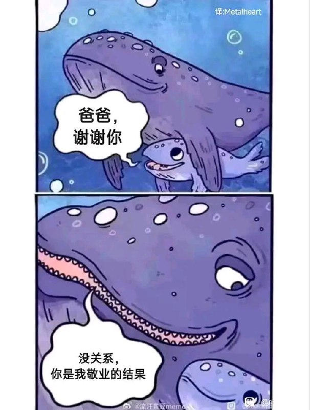 信 达 雅via LDLD 果冻信 达 雅via LDLD 果冻
