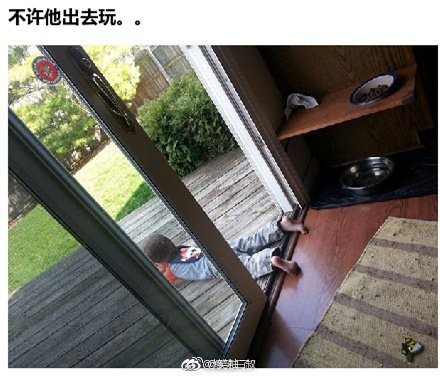 熊孩子