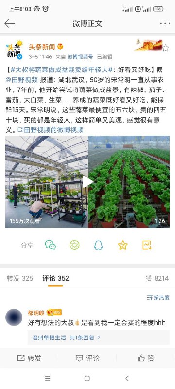 未曾设想的道路via 君生我未生，我生君已老