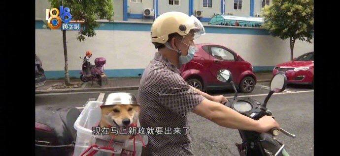 安全第一from 平壤卫视安全第一from 平壤卫视
