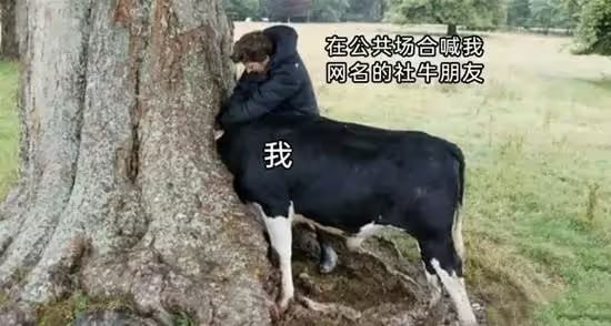 via 7号沙雕网友