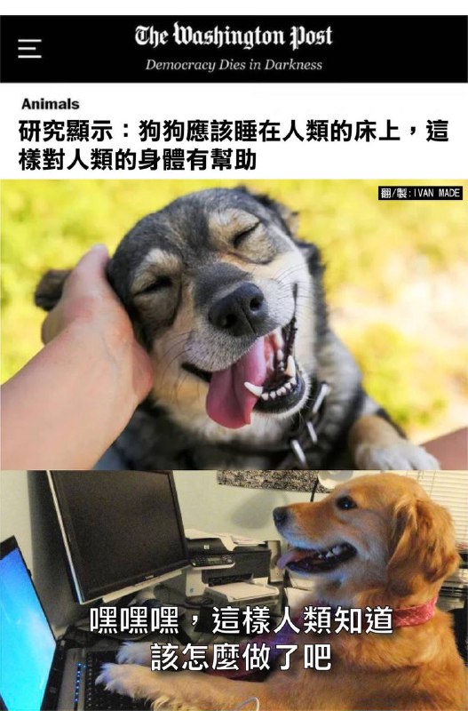 via 张某 犯罪嫌疑人