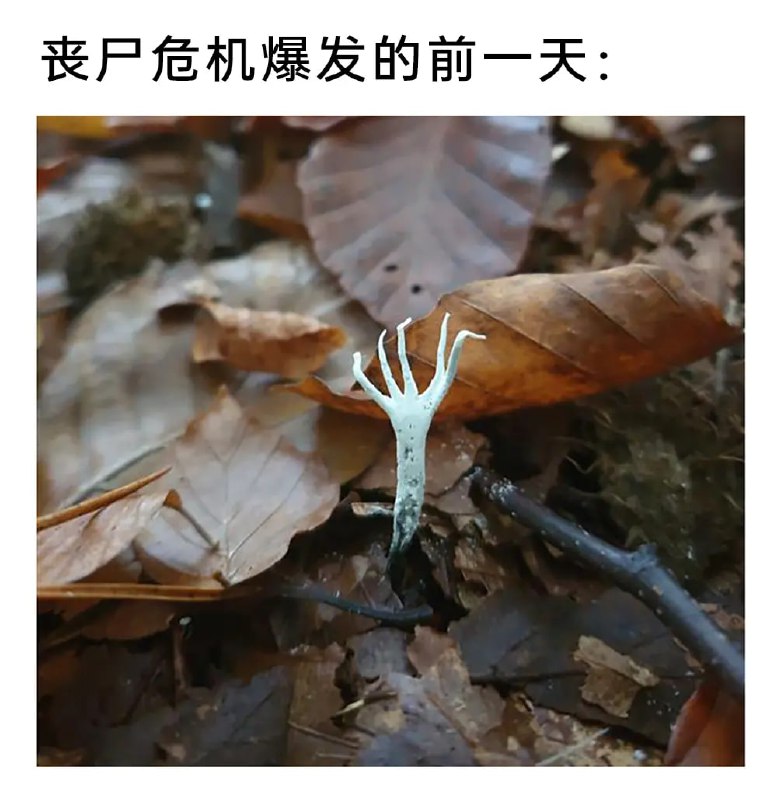 via 7号沙雕网友