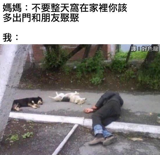 via 苏苏