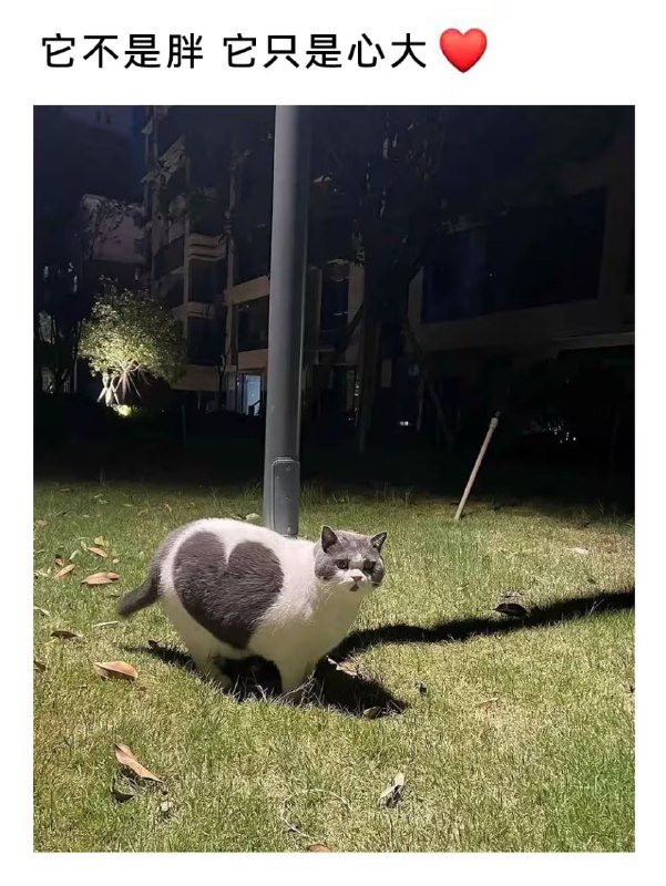 via 7号沙雕网友