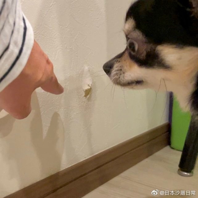 嫌疑人指认案发现场[doge]嫌疑人指认案发现场[doge]