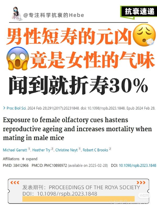 ¿