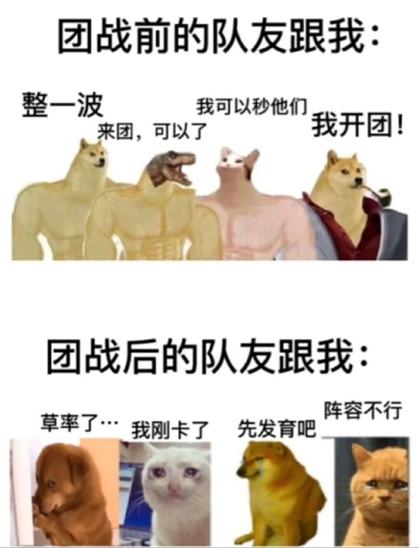 from 美图与沙雕