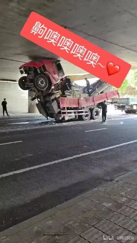 from 槑