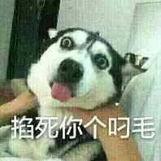 好嘛频道主们的善意提醒被当做骚扰信息频道主们的据理力争变成了皇帝不急 我们这群太监寄了我相信每个发声的频道主都是出于对订阅用户的一个负责任的心态发的声明没想到用户认为我们是骚扰他们的愚昧之举用户认为我们的发声是动了我们的蛋糕 是频道主们赚不到钱了我自认为从沙雕墙建立到现在没搞过各位一分钱吧原来现在 不搞钱也是错的吗？我大概已经完全理解这个世界了并不是产品变成了我们讨厌的样子而是我们才是那个大家最讨厌的人已经差不多能够理解了 嗯