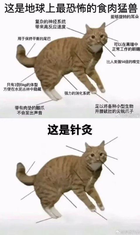 via 7号沙雕网友