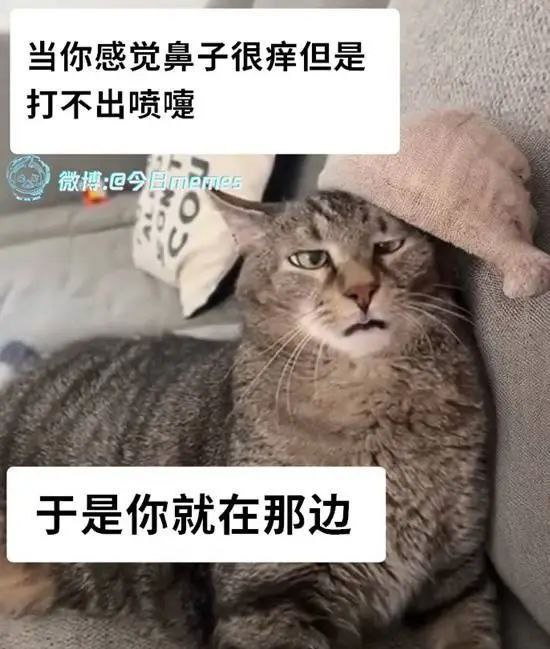 via 蒼瀾熙