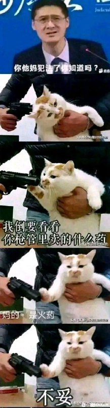 via 西行寺幽空