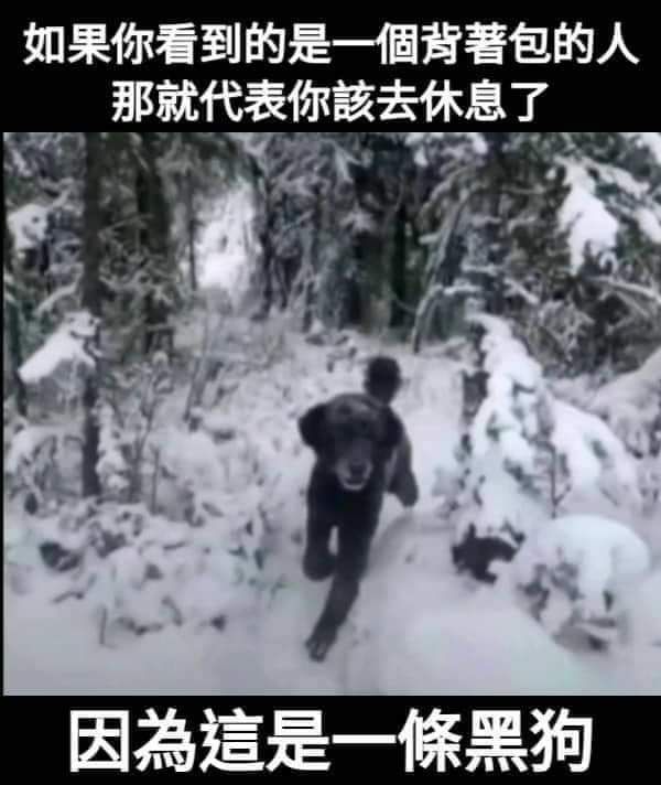 from 心惊报