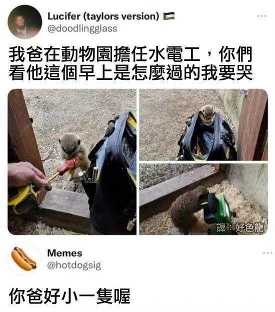 你爸好可爱哦via xgvvcfhhgcdfrom 心惊报-重装XP系统 via efsg