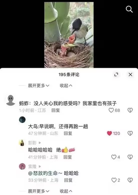 via 7号沙雕网友