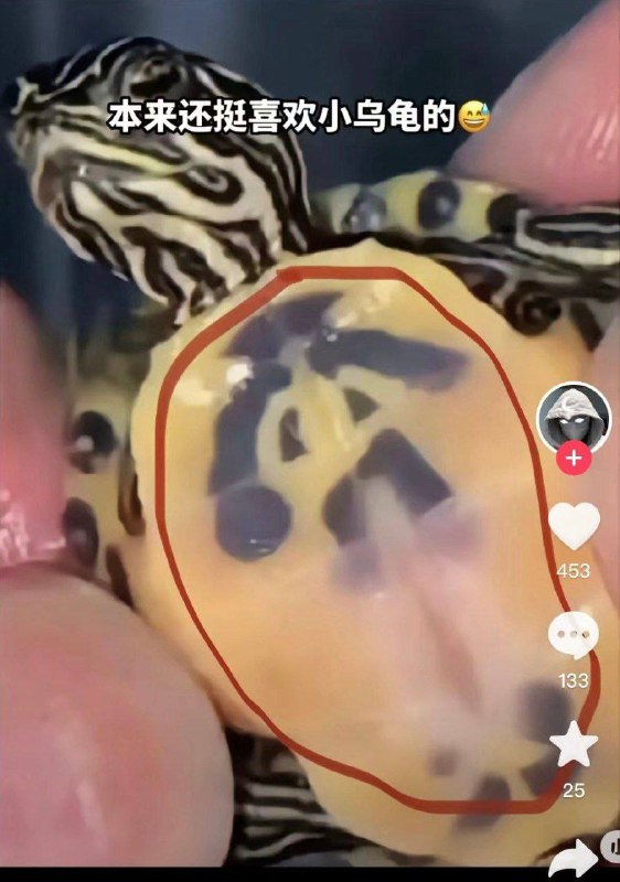 😡from 平壤卫视