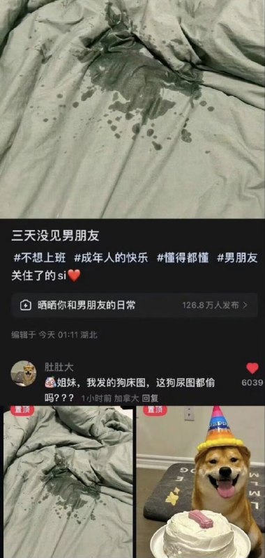 from 平壤卫视