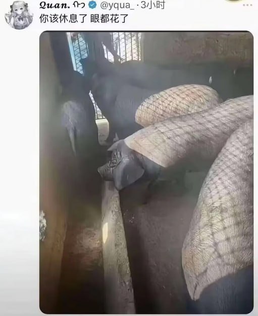 via 7号沙雕网友