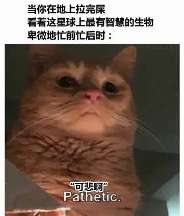 via 张某 犯罪嫌疑人