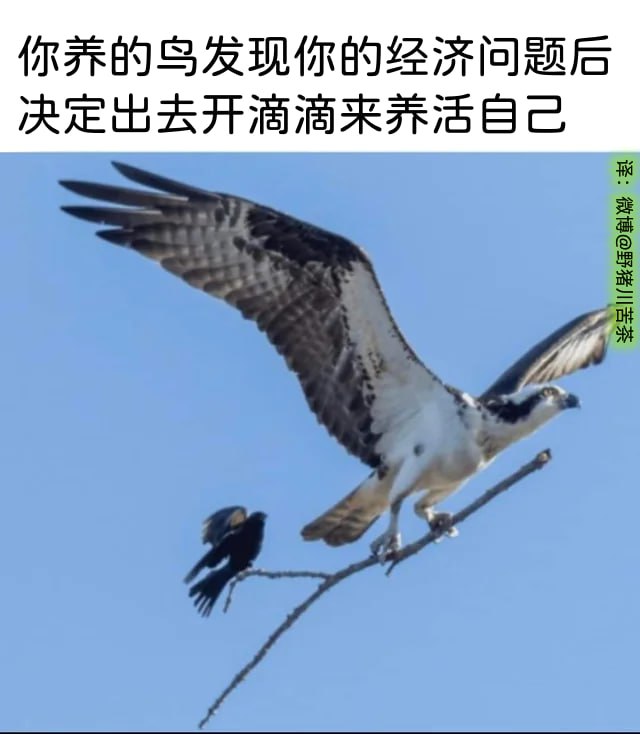 频道手动补发