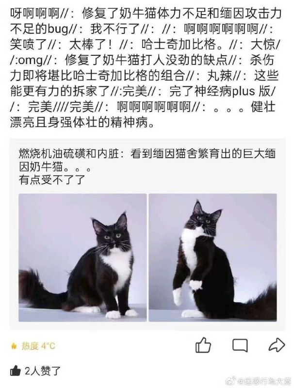 via 哈次捏米库