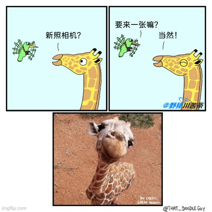 from 煎蛋无聊图