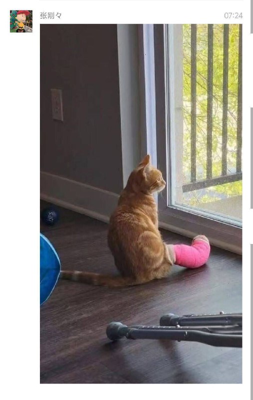 from 猫猫窝🐈🐈‍⬛from 猫猫窝🐈🐈‍⬛