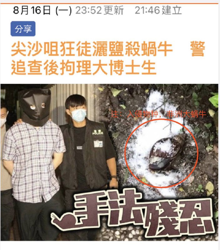 尖沙咀狂徒洒盐虐杀蜗牛！来源尖沙咀狂徒洒盐虐杀蜗牛！来源