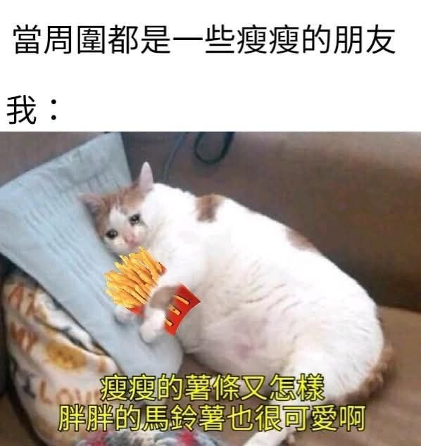 from 什麼都來點 via DECADE