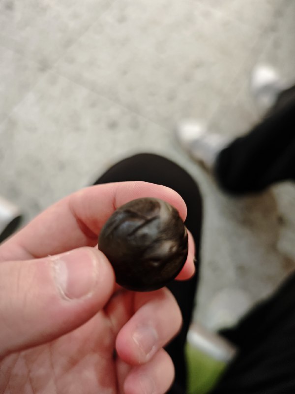 医生：药掰着吃哈我：什么药要掰着吃？via 悦