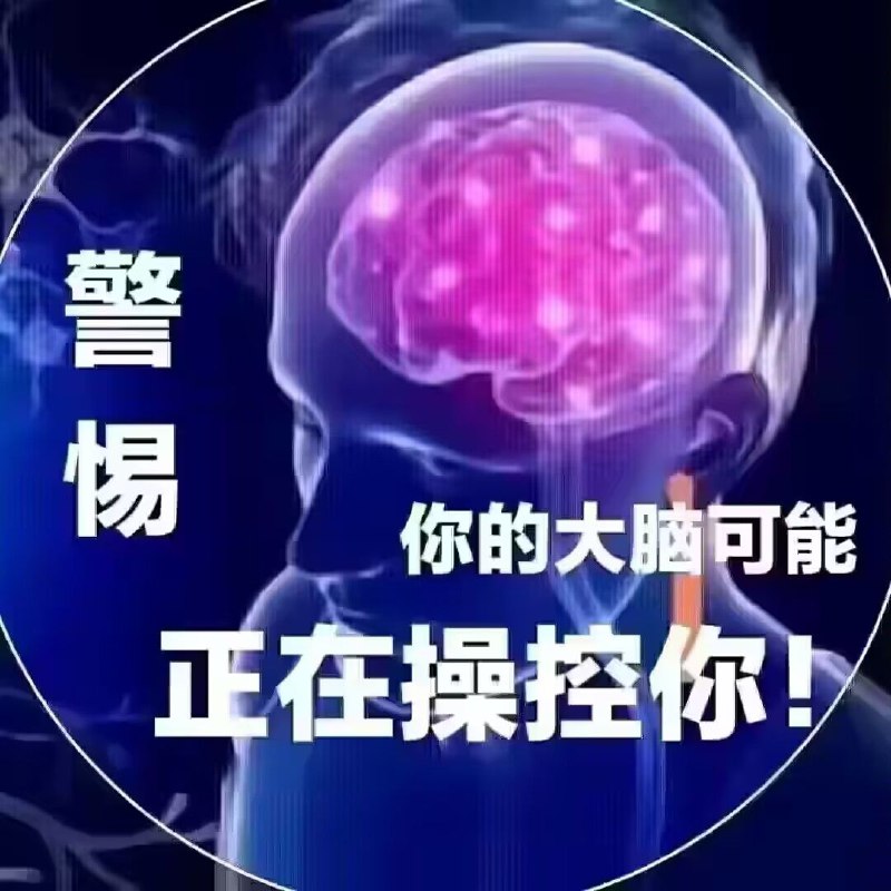 via 荷包蛋