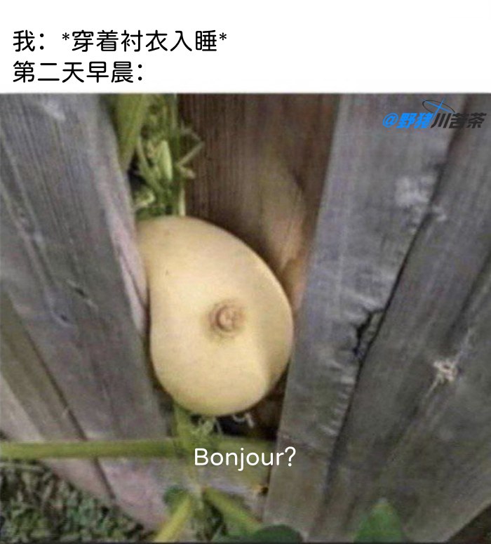 from 煎蛋无聊图