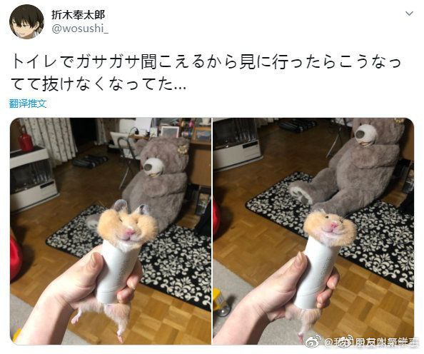 听到厕所有动静，过去看看via 君生我未生，我生君已老